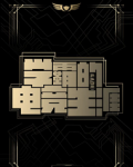 梦泪的电竞生涯