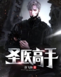 圣医高手洛飞扬