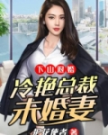 下山退婚：冷艳总裁未婚妻
