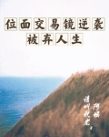 位面交易之