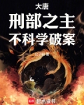 大唐刑部小说