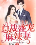 一胎三宝总裁盛宠麻辣妻