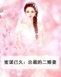 蜜宠不休:二婚总裁难再娶 小说