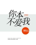 你本不爱我
