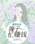 重生九五：嫂子忙赚钱