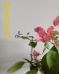 旧时光 福来