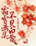 霜雪满头不见白首小说