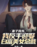 妻子背叛,我反手迎娶白富美女总裁
