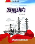 发展动力：西电东送工程开工建设