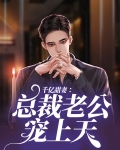 千亿宠妻总裁老公抱一抱免费阅读全文