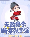 无敌县令简介