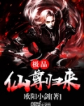极品仙尊归来免费完整