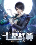 七星战将小说