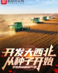 开发大西北是命题吗