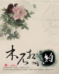 木石木石
