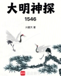 大明神探1546小说