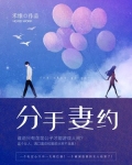 分手妻约