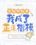 穿越修仙界，我成了正道楷模