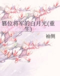篡位将军的白月光小说全文阅读
