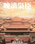 晚清枭臣小说