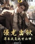 强龙就压地头蛇小说