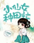 小仙女种田忙