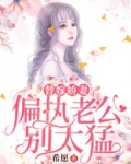 替嫁娇妻偏执老公深度宠
