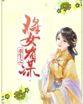 重生之将女有谋