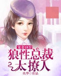 狼性总裁宠妻有道免费阅读