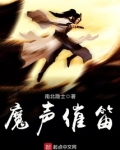 魔声催笛小说