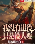 我没有退役只是没人要下载