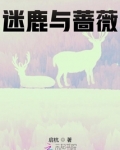 迷鹿鹿迷尔