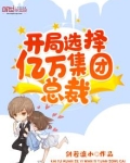 开局选择亿万集团总裁下载