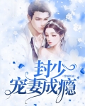 替嫁娇妻：封少宠妻成瘾
