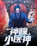 圣医神瞳陈凡主角