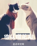 喜欢他的理由樱花