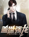 盖世强龙 小说