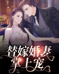 替嫁宠妻小说