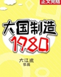 大国制造1980讲的什么