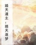 踏天小说