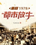 重返1978小说下载