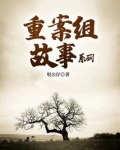 重案组故事系列有哪些