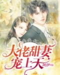 二爷的枭宠暖妻