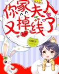 大神你家夫人又挂了有声听书