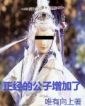 正经的公子增加了