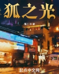 狐之光小说免费版2023