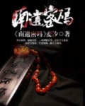 南遗密码简介