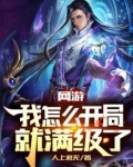 开局就满级的网游小说