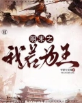 明末之我若为王
