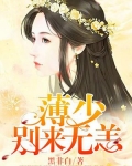顾少别来无恙免费阅读